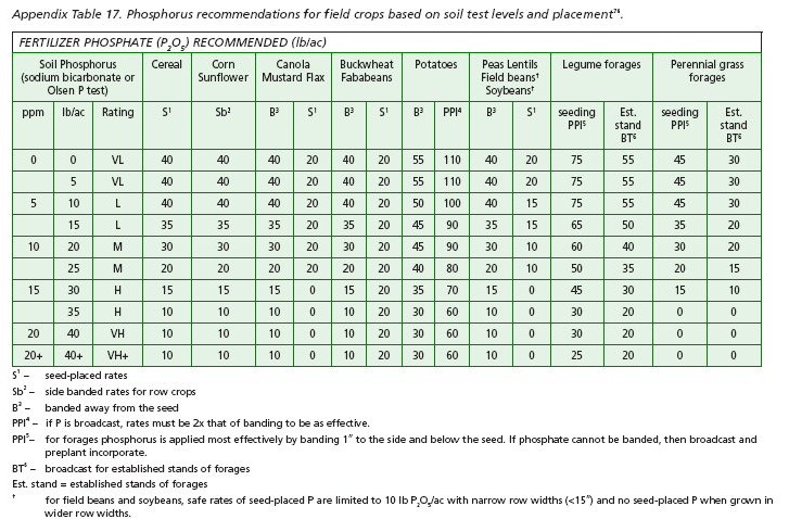 Phosphorus recommendations for field crops based on soil test levels and placement.