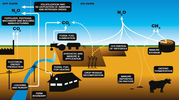 Greenhouse Gas Sources