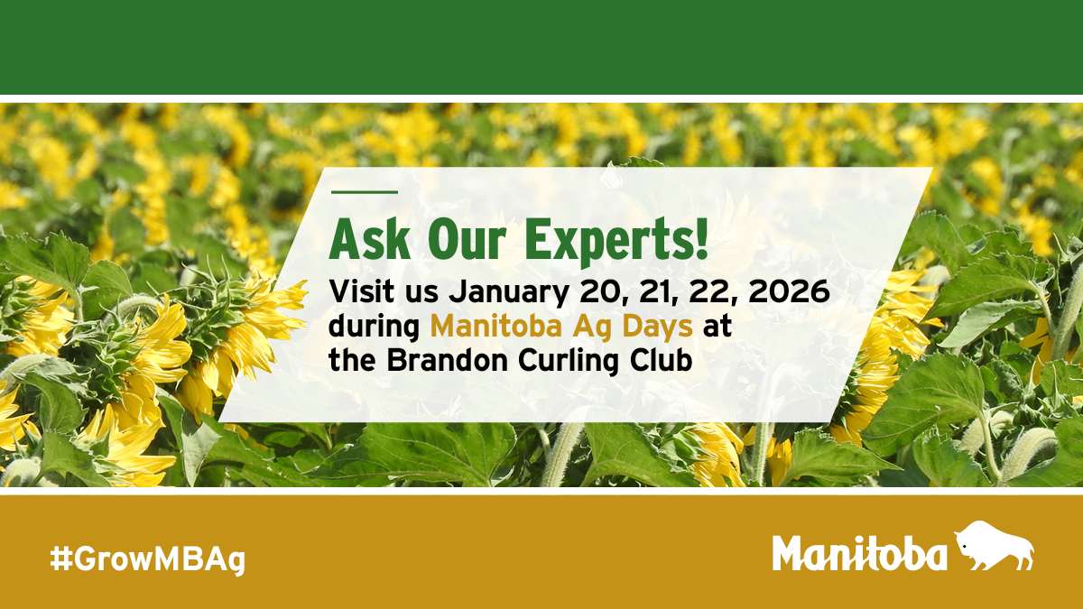  style='display:block;width: 100%;position: relative;  margin-top: 20px;'