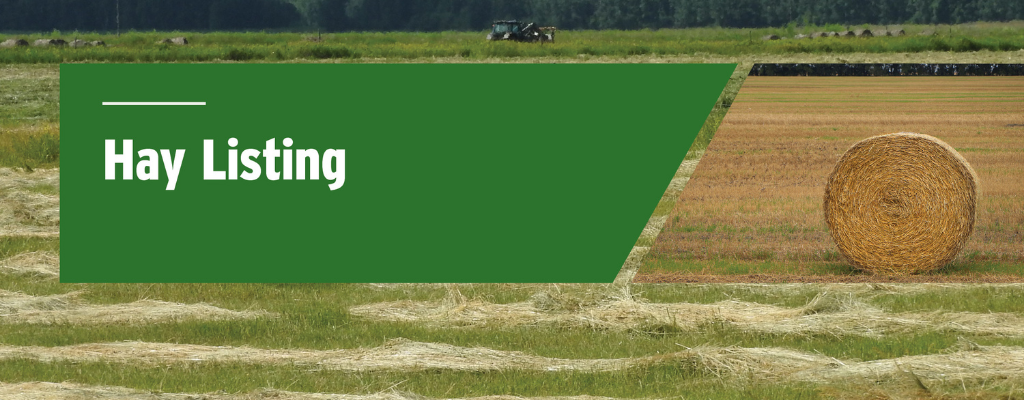 http://webpublishing.mbgov.ca/http://webpublishing.mbgov.ca/en/agriculture/PublishingImages/hay-listing-instream.png/agriculture/PublishingImages/hay-listing-instream.jpg style='display:block;width: 100%;position: relative;  margin-top: 20px;'