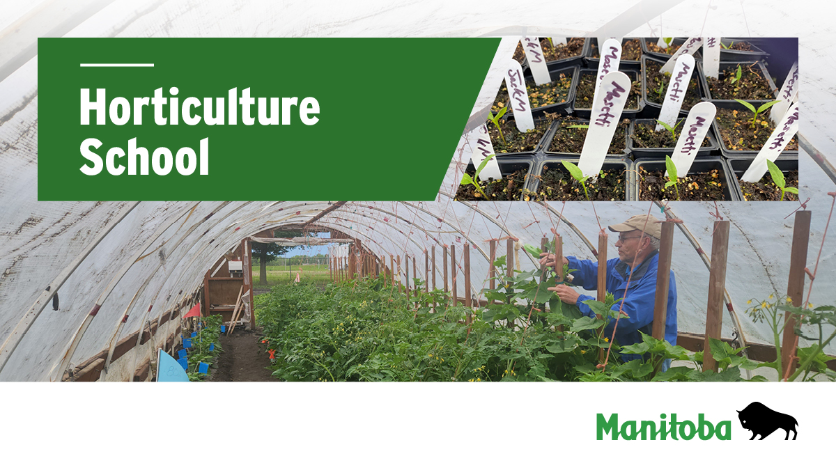  style='display:block;width: 100%;position: relative;  margin-top: 20px;'