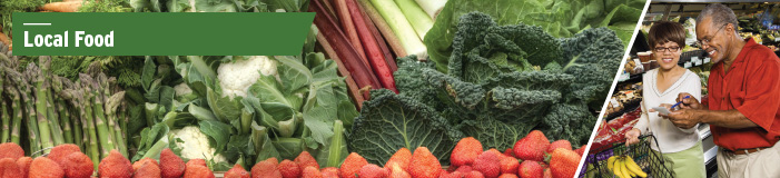 Banner with a picure of assorted fresh produce like kale, strawberries, and rhubarb as well as two people shopping in a store.