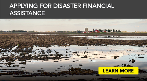 Applying for Disaster Financial Assistance