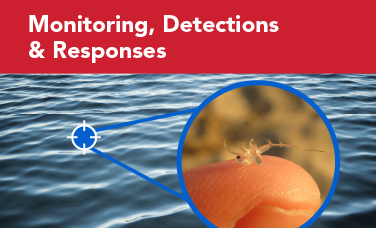Aquatic Invasive Species Detection