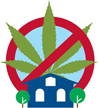 Il est interdit de faire pousser du cannabis  la maison.