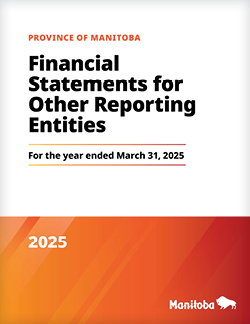 Financial Statements for Government Reporting Entities