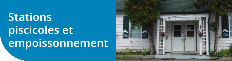 Stations piscicoles et empoissonnement Stations piscicoles et empoissonnement