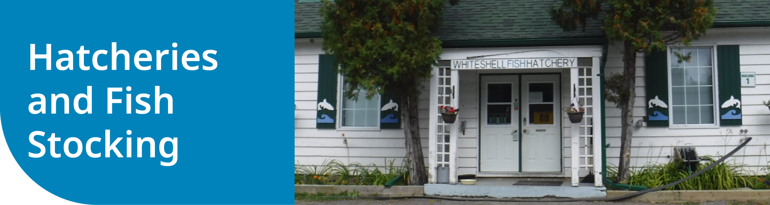 Hatcheries and Fish Stocking Hatcheries and Fish Stocking