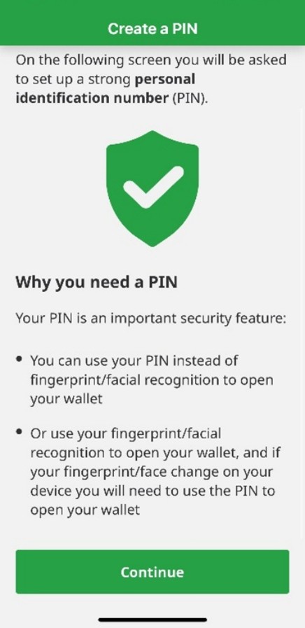 Screen explaining why you need a PIN
