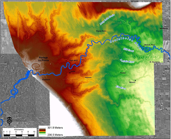 Figure 6: Land surface elevations of the Assiniboine River alluvial fan generated from LiDAR data. Many of the paleochannels are visible, along with the adjacent higher land formed by sediment deposition.