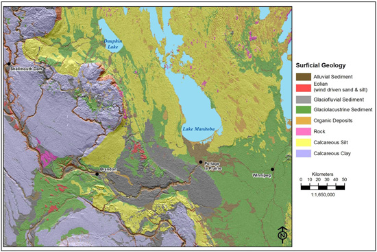 Figure 1: Surficial geology of Manitoba. The Assiniboine delta is visible as glaciofluvial sediment in dark gray between Brandon and Portage la Prairie, and the alluvial fan is visible in brown stretching to the north and east of Portage la Prairie.