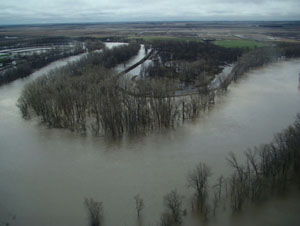 Assiniboine River, 9 km East of Poplar Point, May 2011