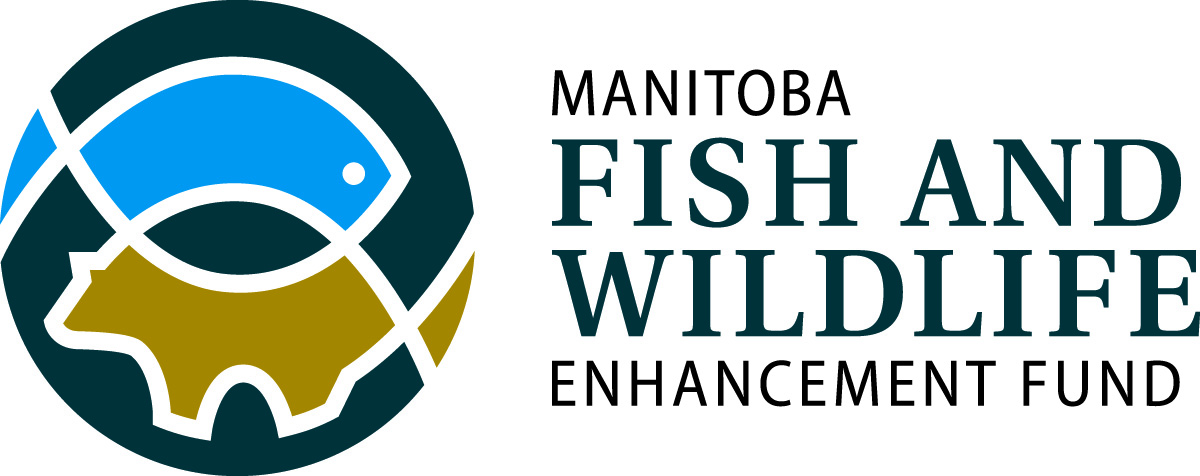 Fish and Wildlife Enhancement Fund