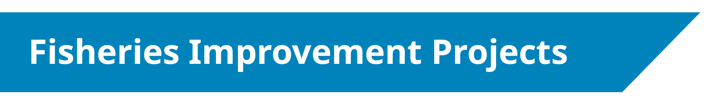 Fisheries Improvement Projects