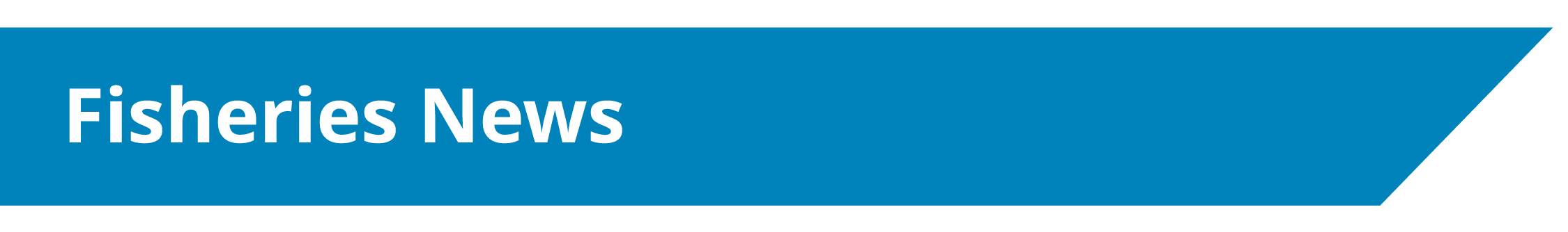 Fisheries News - Lake Winnipeg Pre-Certification Assessment and Fisheries Improvement Projects