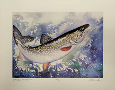 Lisa Rae Minuk --  "Watercolours – Lake Trout” 