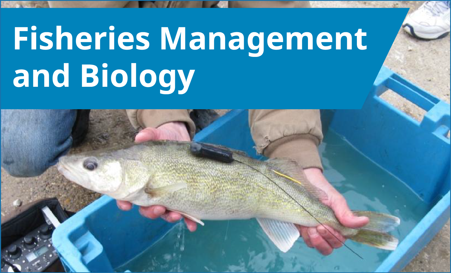 Fisheries Management and Biology