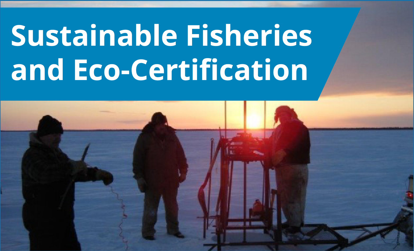 Sustainable Fisheries and Eco-Certification