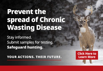 Help shape the future of hunting in Manitoba. Fill out the short Hunter Harvey Survey today at manitobaelicensing.ca